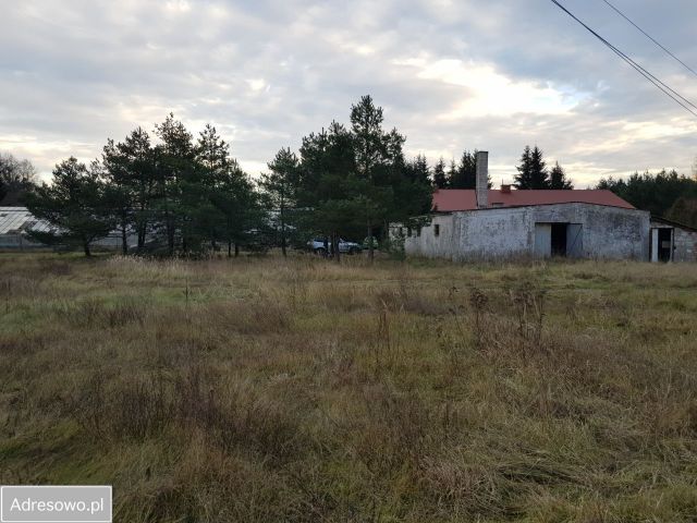 Działka inwestycyjna Samsonów-Ciągłe. Zdjęcie 1