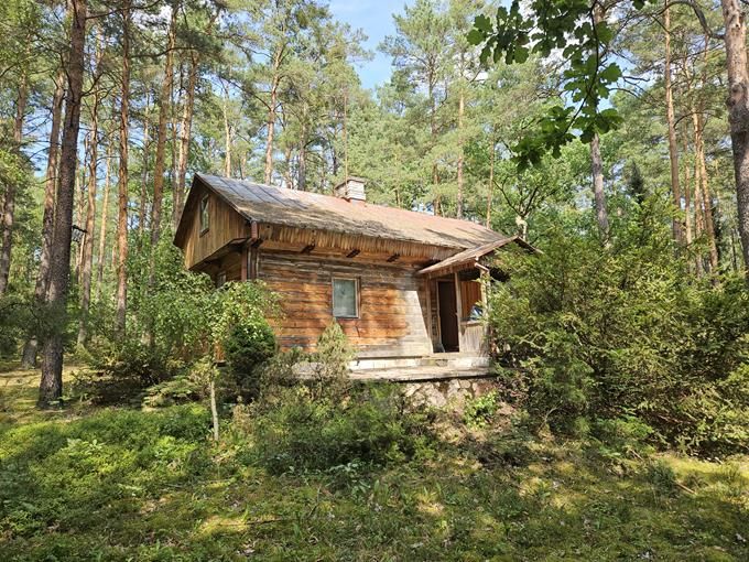 Działka leśna Osiedle Wilga, ul. Lipowa. Zdjęcie 4