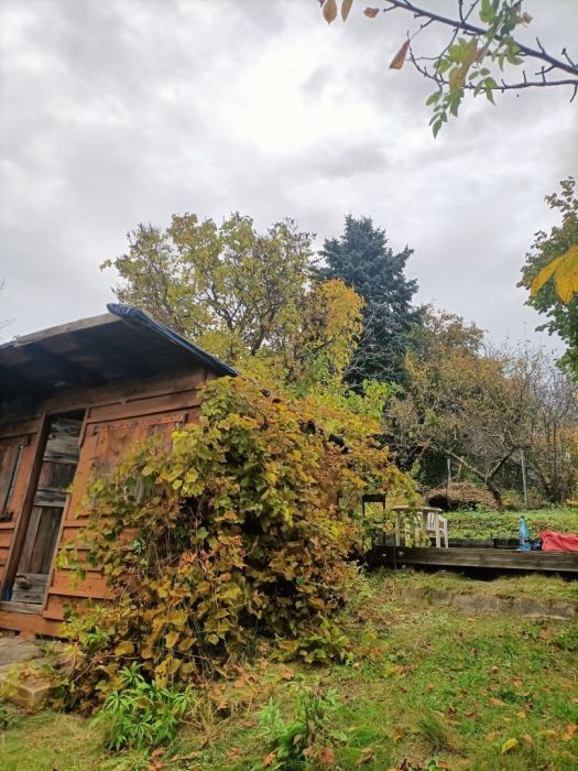 Działka rod Gdańsk Aniołki. Zdjęcie 4