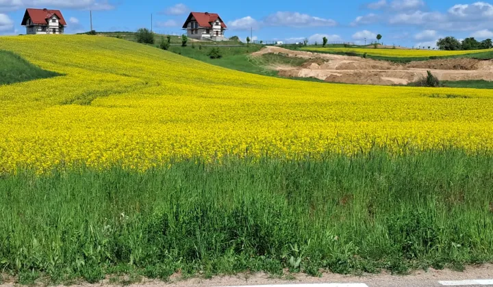 dom wolnostojący Upałty