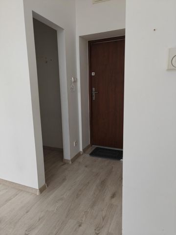 Mieszkanie 2-pokojowe Poznań Jeżyce, ul. Maksymiliana Jackowskiego. Zdjęcie 5