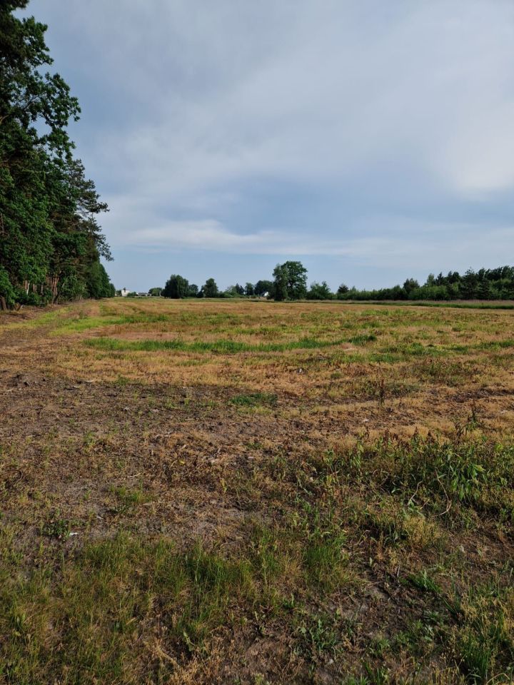 Działka rolno-budowlana Martynów. Zdjęcie 7
