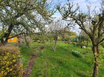 Działka rod Malbork, ul. Toruńska. Zdjęcie 2