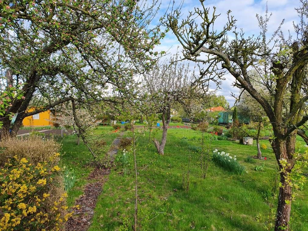 Działka rod Malbork, ul. Toruńska. Zdjęcie 3