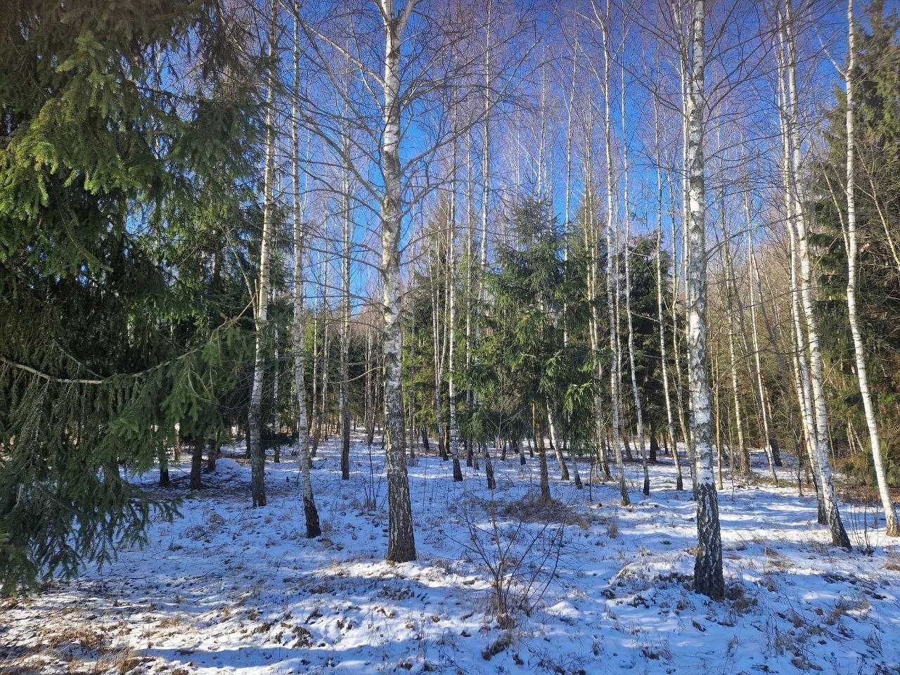 siedlisko Mieleszkowce Pawłowickie. Zdjęcie 3