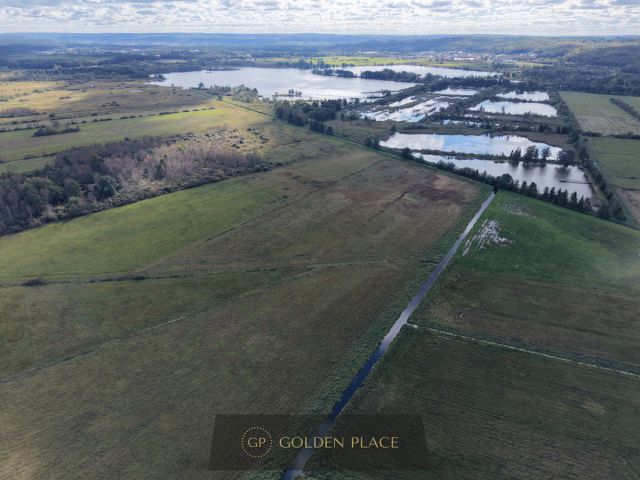 Działka rolna Kniewo. Zdjęcie 6
