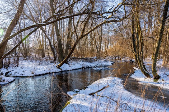 Działka inwestycyjna Dobrowo Dobrówko. Zdjęcie 17