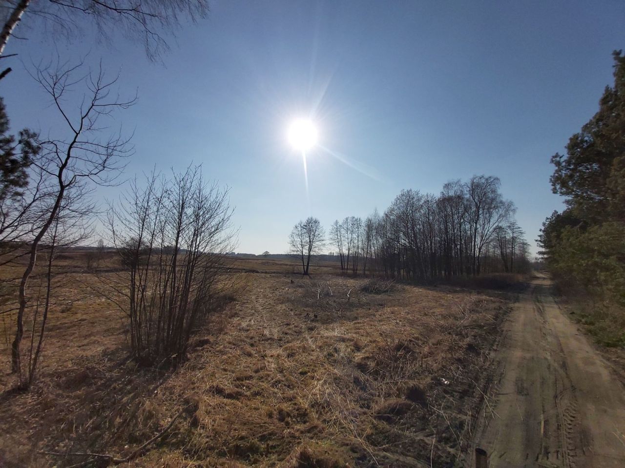 Działka rolno-budowlana Pogwizdów Stary. Zdjęcie 2