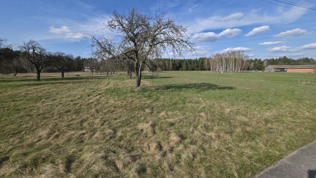 Działka budowlana Jeziorno. Zdjęcie 2