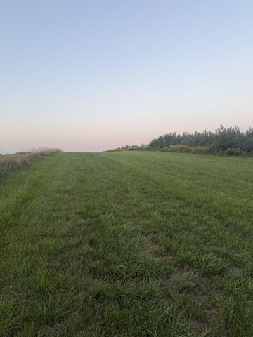 Działka rolna Zabruzdy-Kolonia. Zdjęcie 1