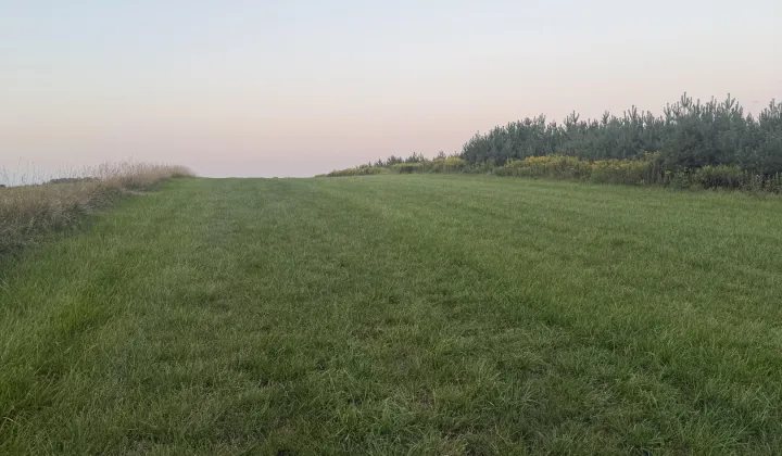 Działka rolna Zabruzdy-Kolonia