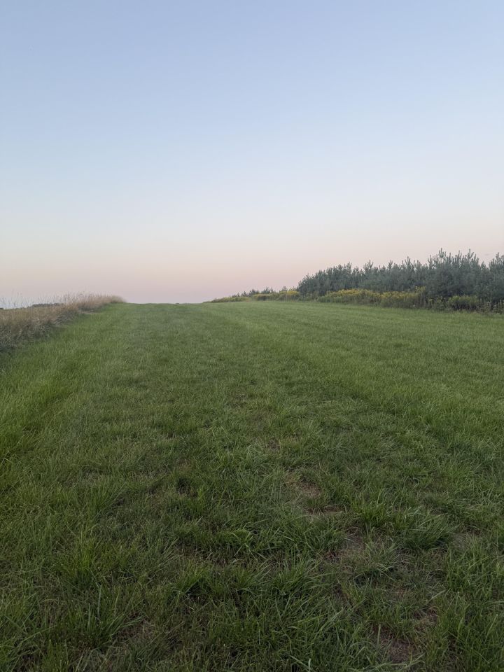 Działka rolna Zabruzdy-Kolonia. Zdjęcie 1