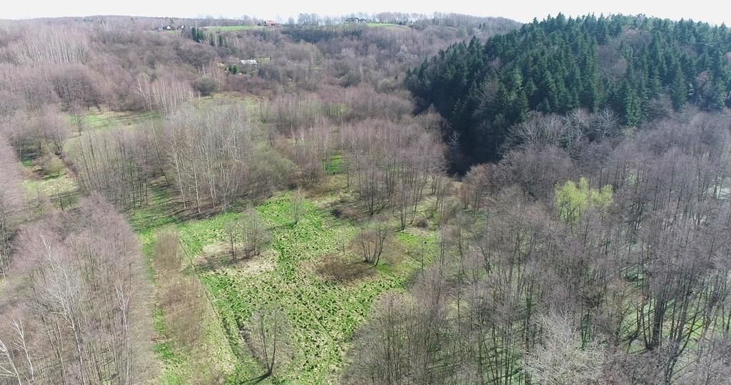 Działka rolna Lubenia Okop. Zdjęcie 6