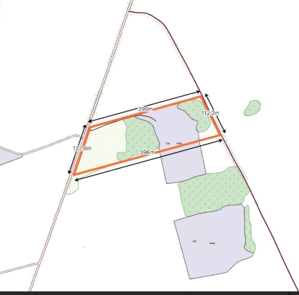 Działka inwestycyjna Dźwierznia. Zdjęcie 2