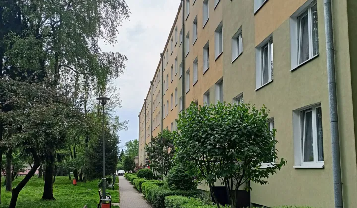 Mieszkanie 3-pokojowe Zamość Przedmieście Lubelskie, ul. Elizy Orzeszkowej