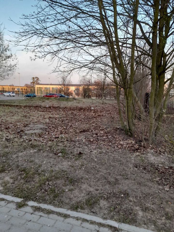 Lokal Aleksandrów Kujawski, ul. gen. Władysława Sikorskiego. Zdjęcie 7