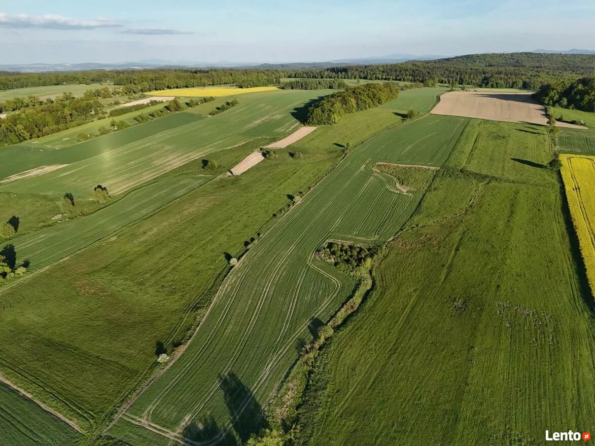 Działka rolna Pomocne. Zdjęcie 2