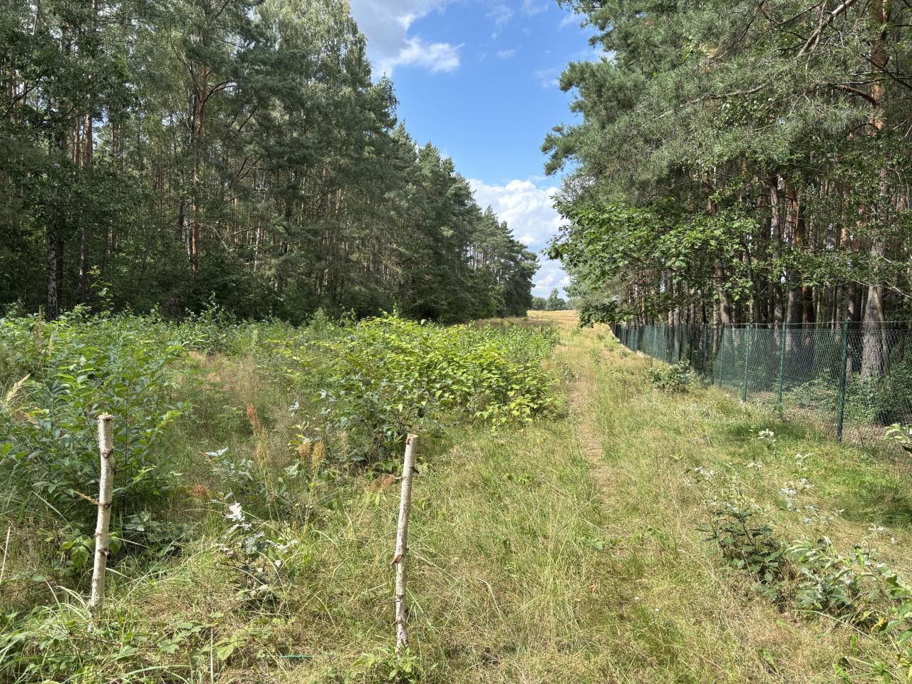 Działka inna Sokolniki. Zdjęcie 1