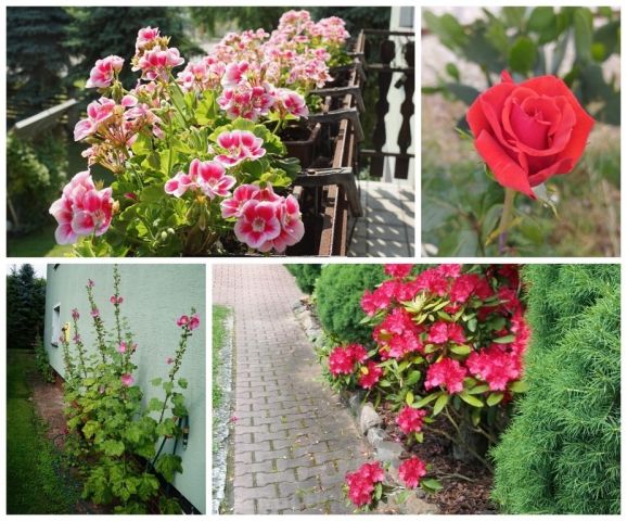 dom wolnostojący, 6 pokoi Pozowice. Zdjęcie 22