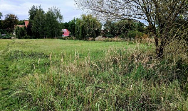 Działka budowlana Brzezina, ul. Willowa. Zdjęcie 1