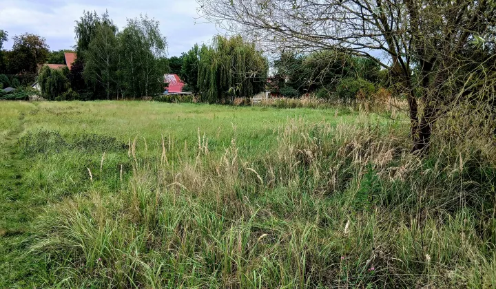 Działka budowlana Brzezina, ul. Willowa