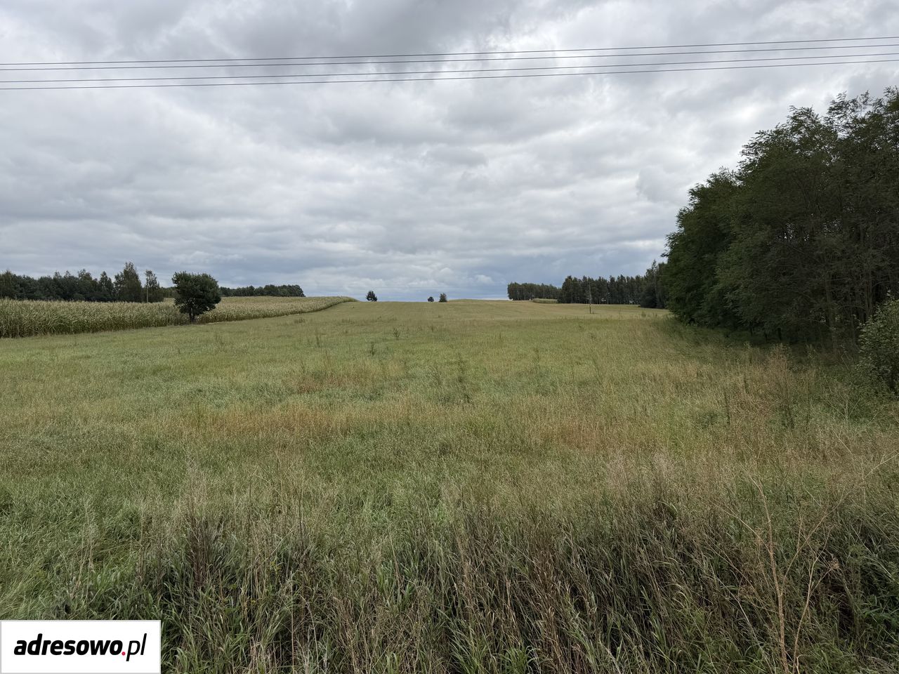 Działka inwestycyjna Józefowo. Zdjęcie 2