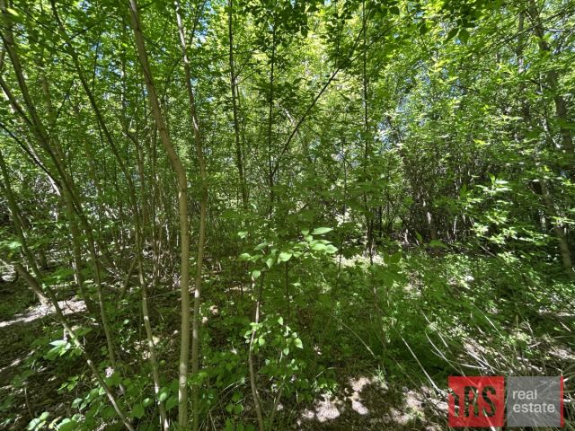 Działka budowlana Wola Pasikońska. Zdjęcie 3