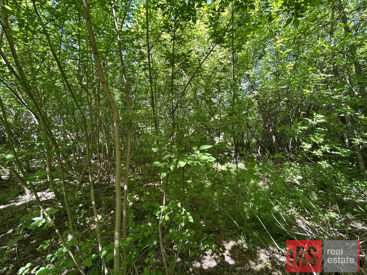 Działka budowlana Wola Pasikońska. Zdjęcie 3