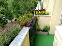 Mieszkanie 2-pokojowe Kraków Nowa Huta, os. Kolorowe. Zdjęcie 4