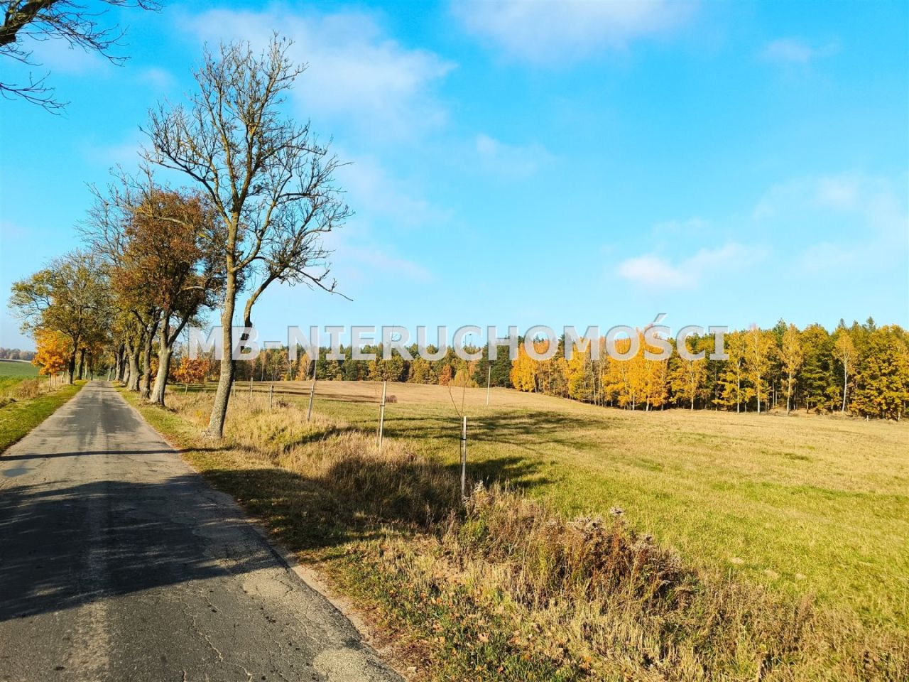 Działka inwestycyjna Gąsiorowo Olsztyneckie. Zdjęcie 9