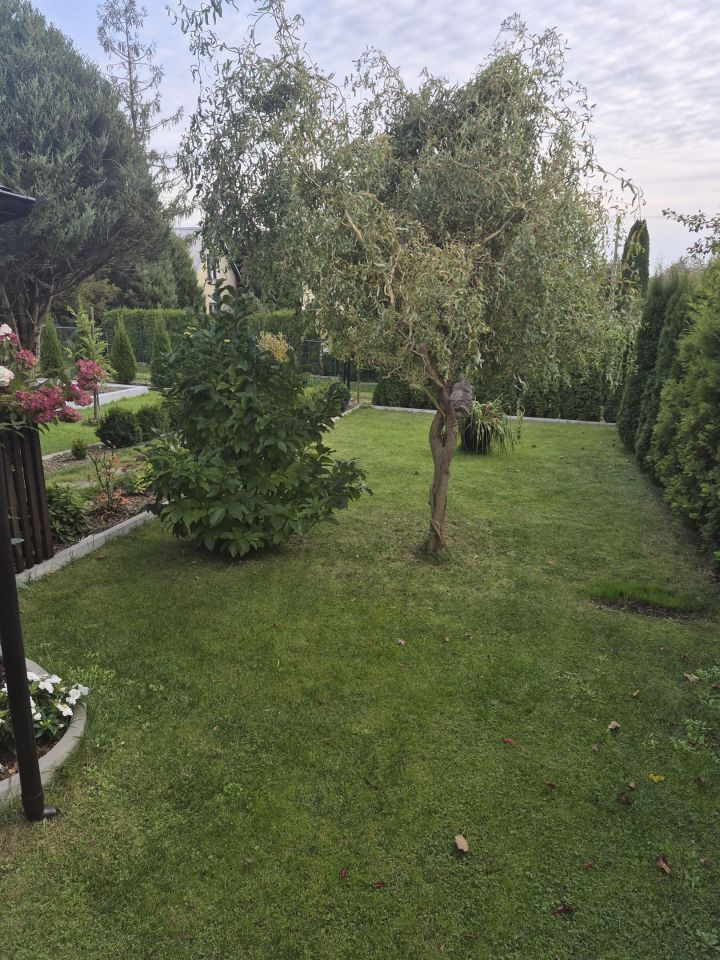 Działka rod Ełk, ul. Konieczki. Zdjęcie 6