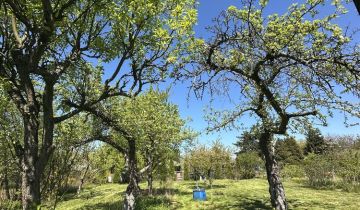 Działka rod Mogilno