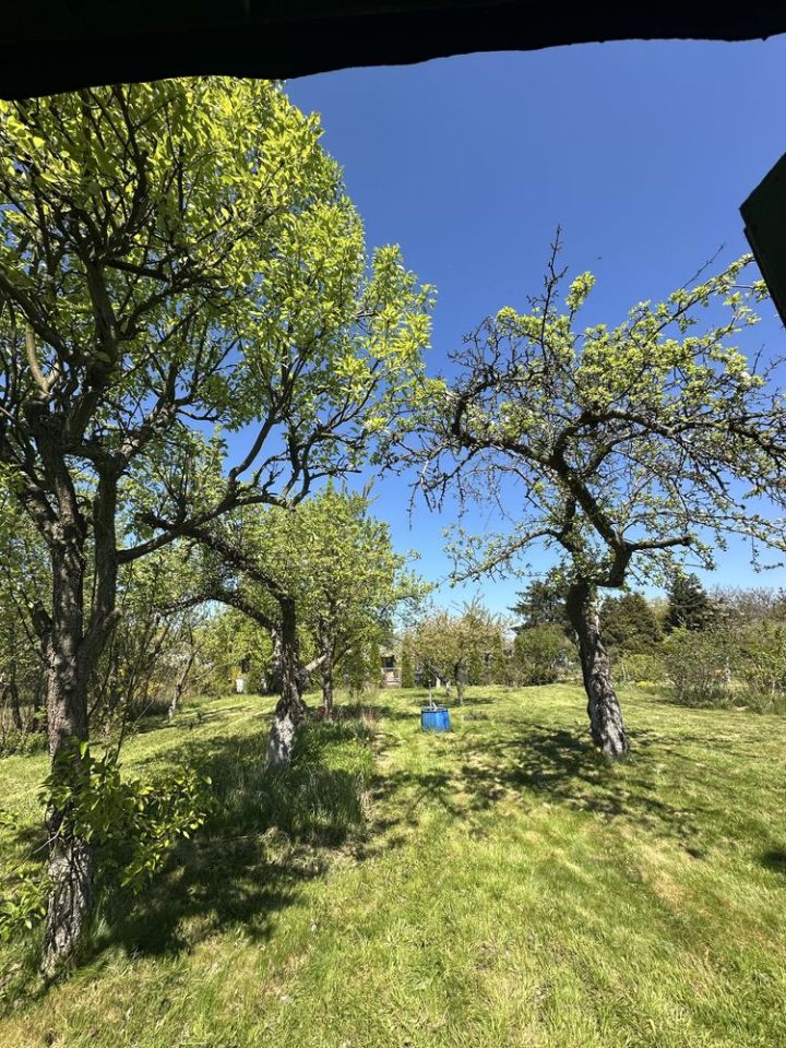 Działka rod Mogilno. Zdjęcie 2