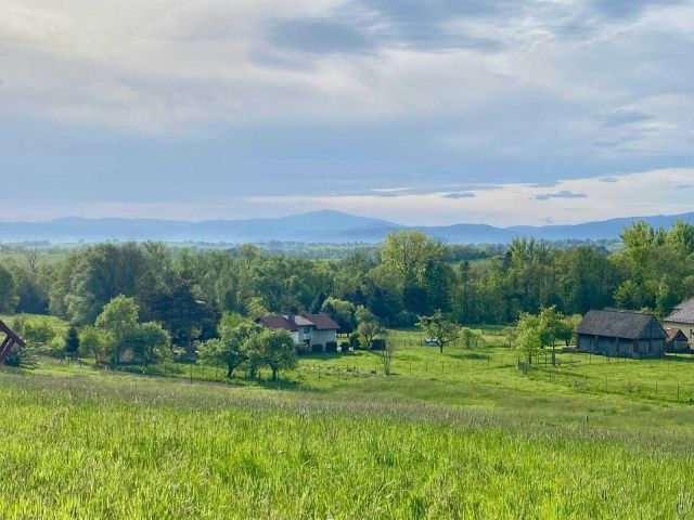 Działka rolno-budowlana Lipowa, ul. Polarna. Zdjęcie 5