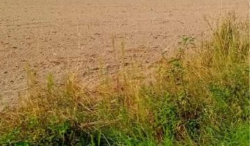 Działka rolno-budowlana Nowa Wieś