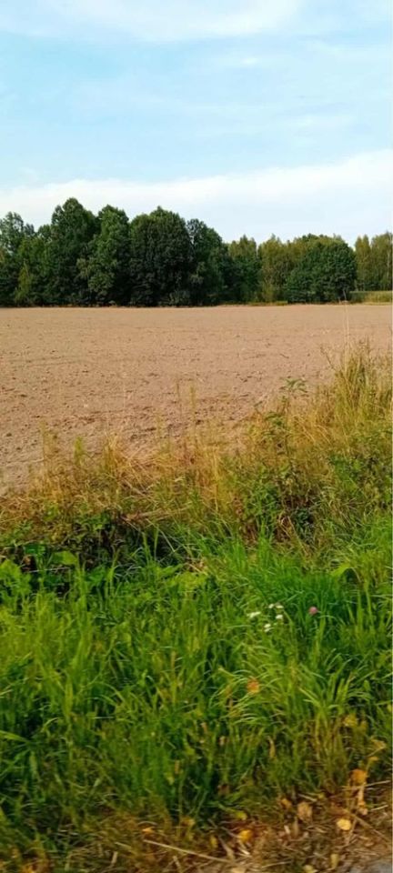 Działka rolno-budowlana Nowa Wieś. Zdjęcie 2