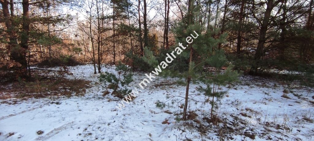 Działka budowlana Ojrzanów. Zdjęcie 6