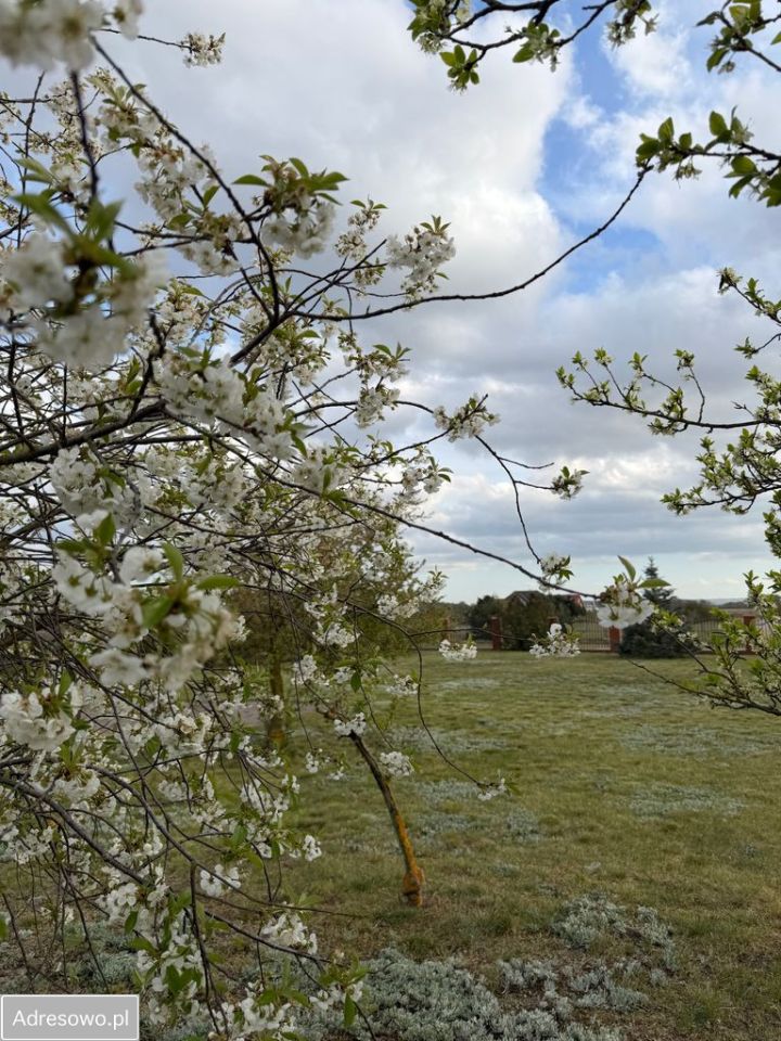 Działka budowlana Czarna Łąka, ul. Namiotowa. Zdjęcie 8