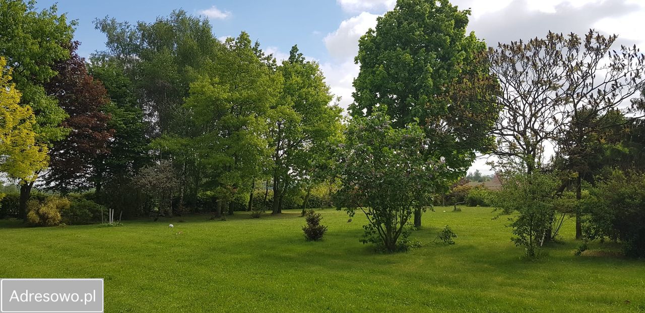 Działka budowlana Dzierżoniów Nowe Miasto. Zdjęcie 6