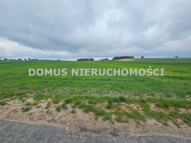 Działka siedliskowa Chociszew. Zdjęcie 3