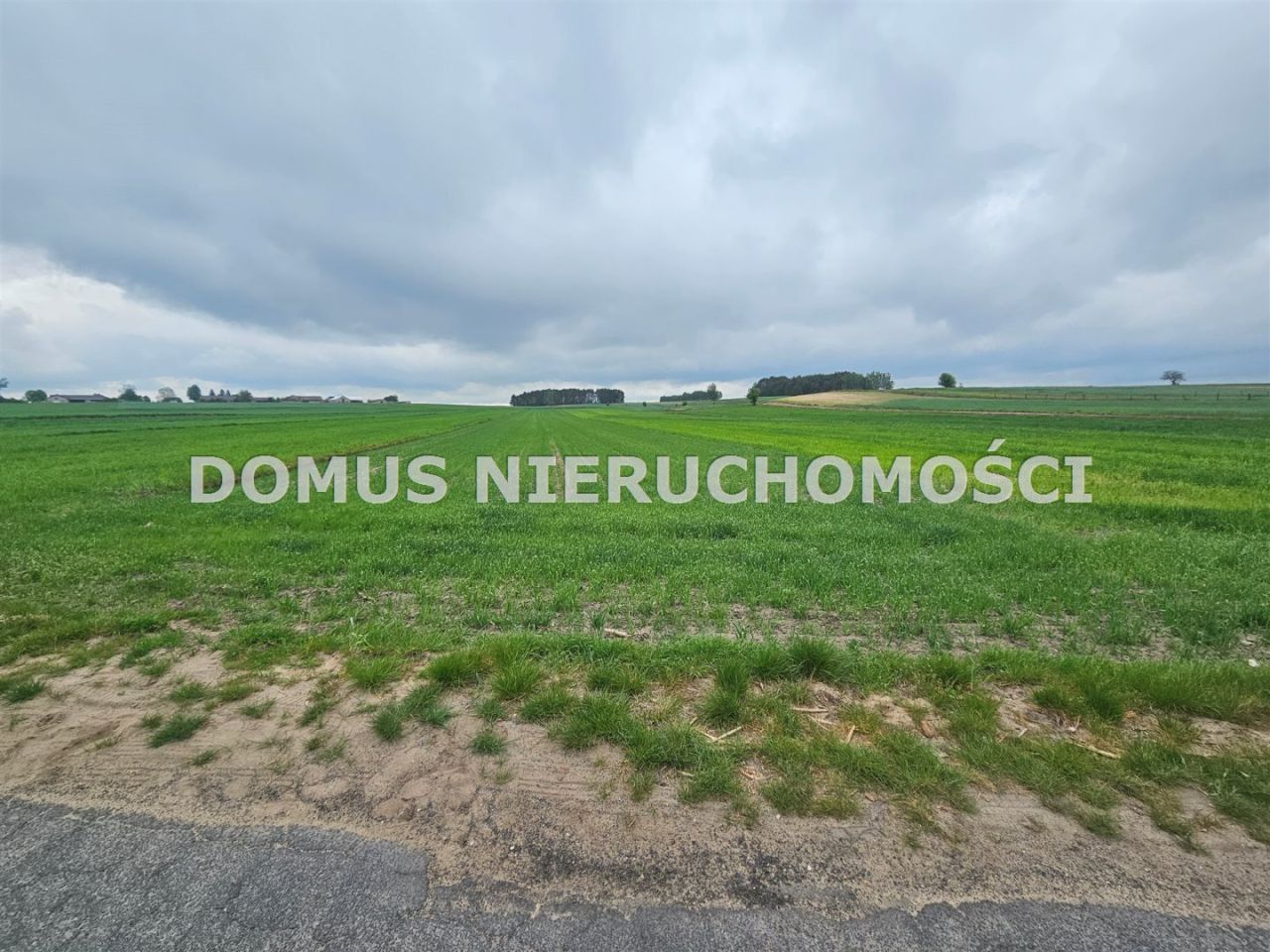 Działka siedliskowa Chociszew. Zdjęcie 3