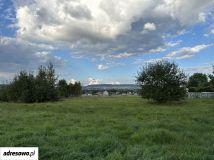 Działka budowlana Domaszowice, ul. Klonowa. Zdjęcie 1