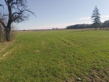 Działka budowlana Łomazy, ul. Ścianka. Zdjęcie 2