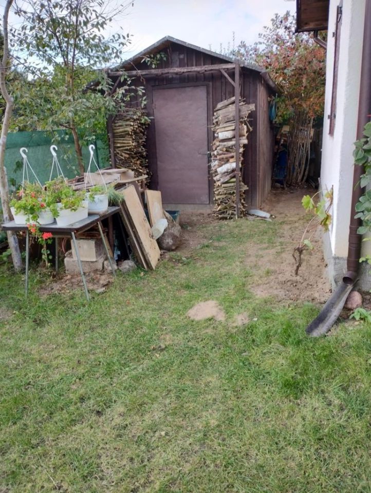 Działka rod Wójtowo. Zdjęcie 4