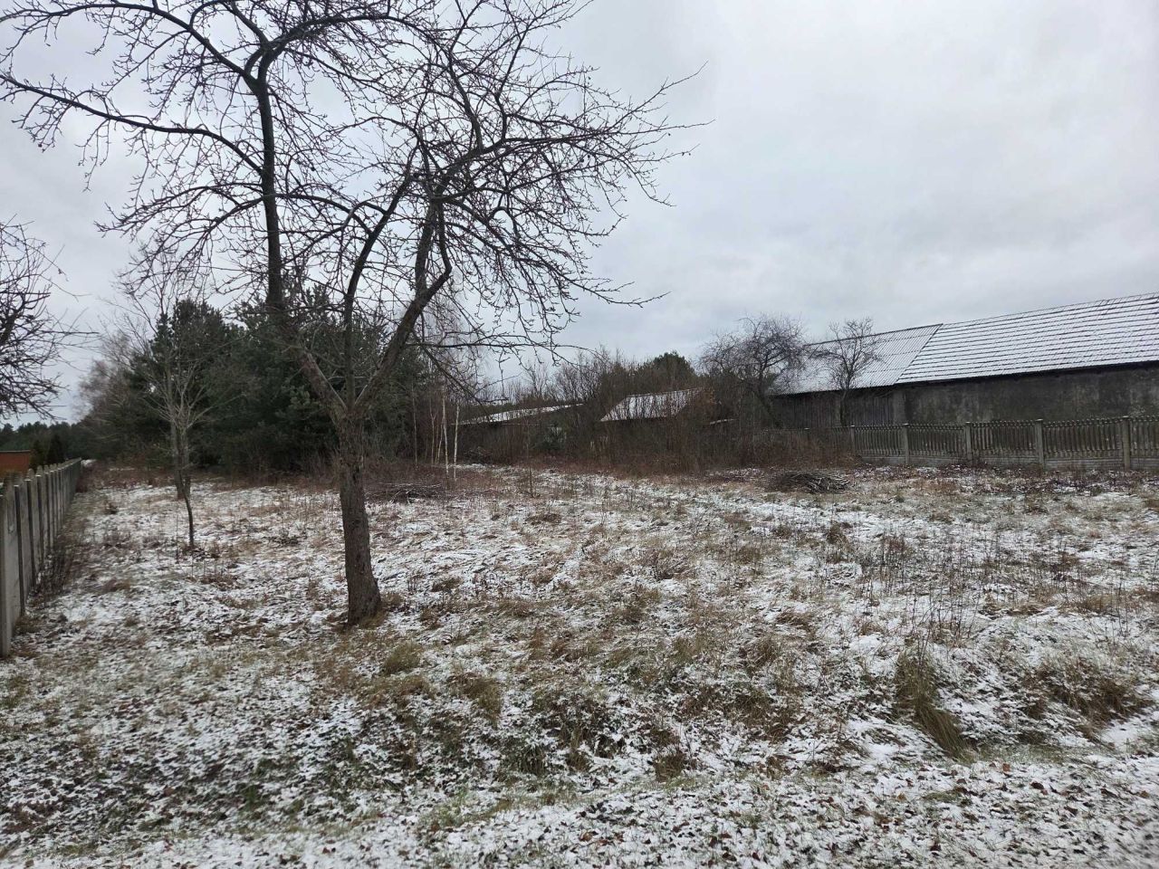 Działka rolno-budowlana Antoniów. Zdjęcie 3