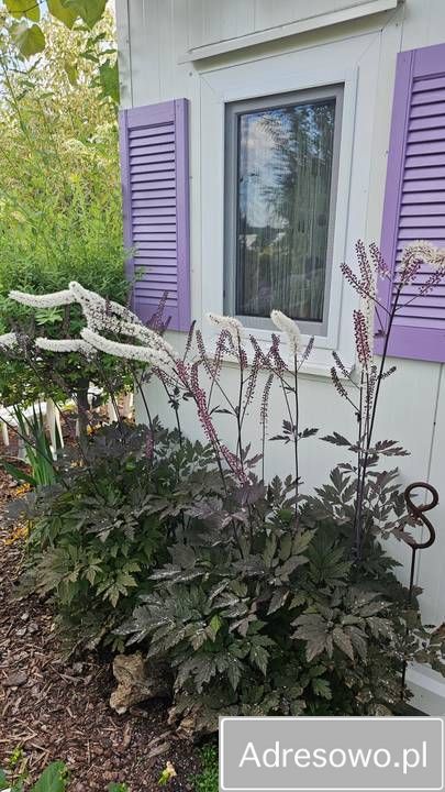 Działka rod Radom Wośniki, ul. Hodowlana. Zdjęcie 11