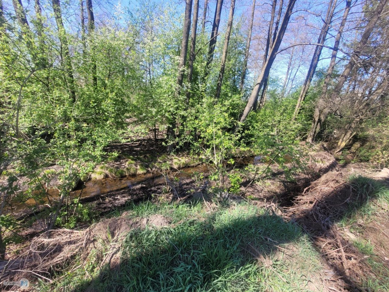 Działka rolno-budowlana Smyków. Zdjęcie 11