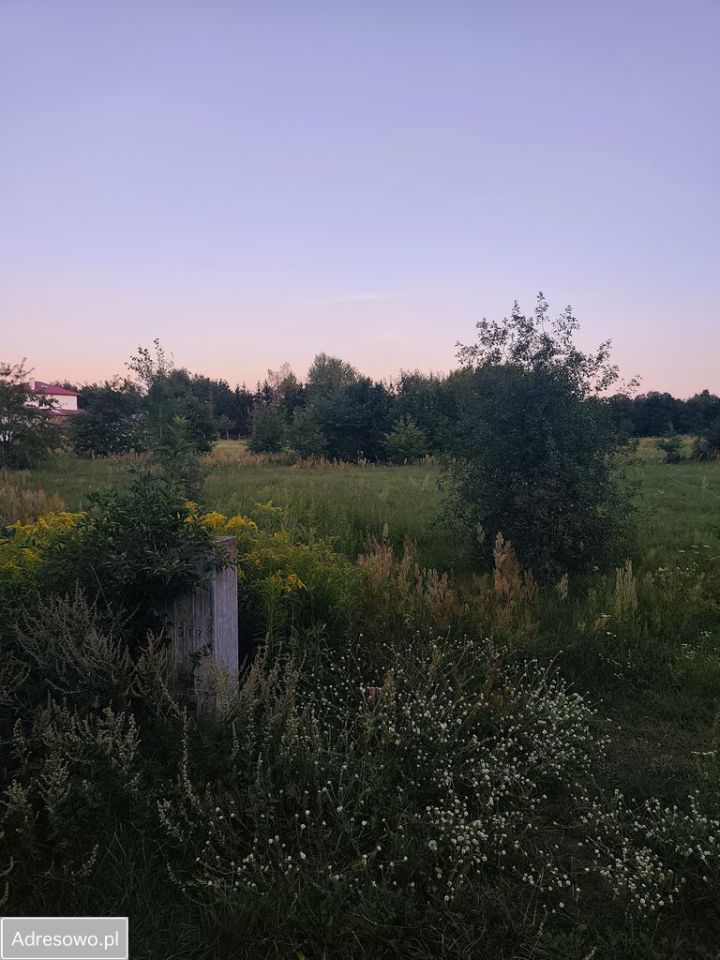 Działka budowlana Krępa, ul. Polna. Zdjęcie 1