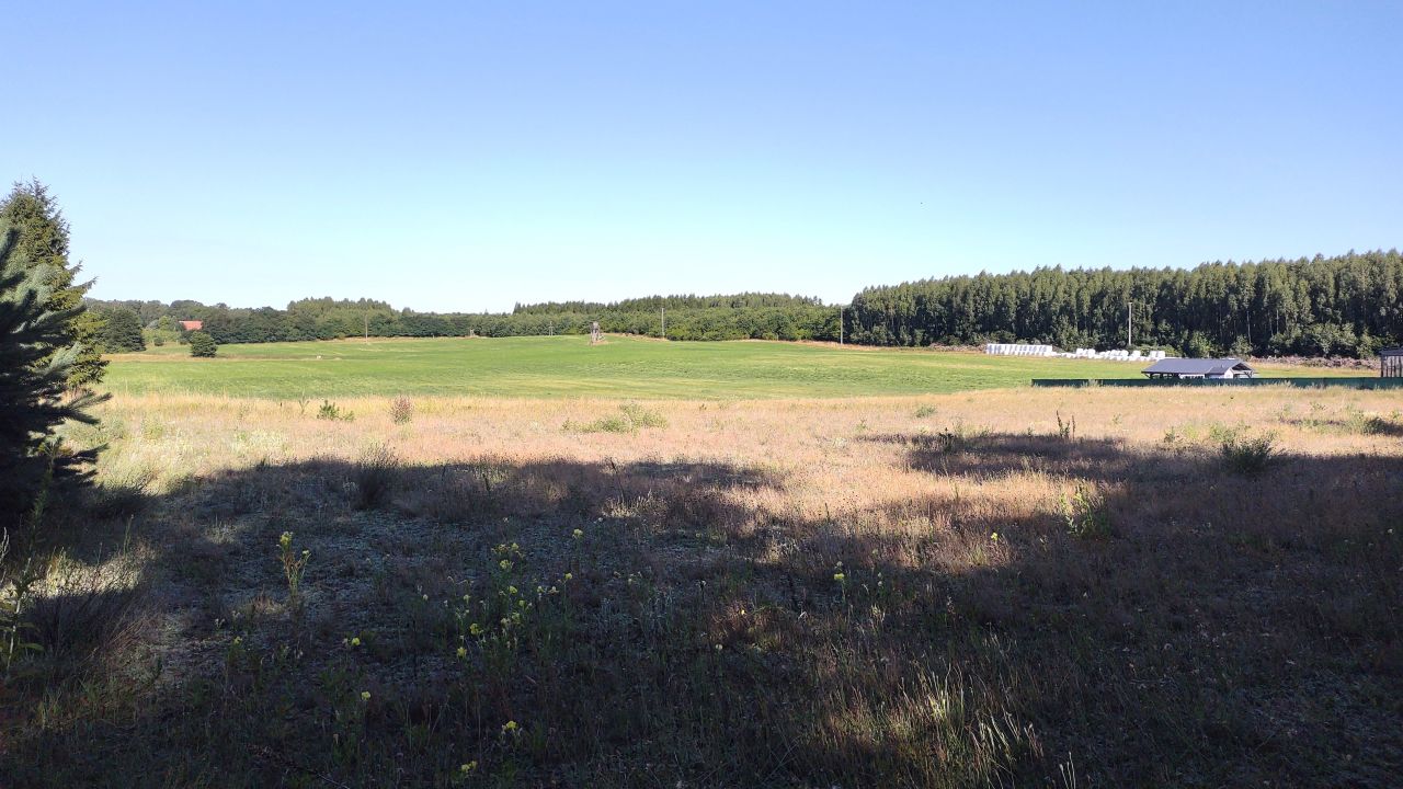 Działka budowlana Siemiany. Zdjęcie 6