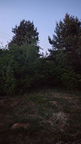 Działka rekreacyjna Panki. Zdjęcie 1